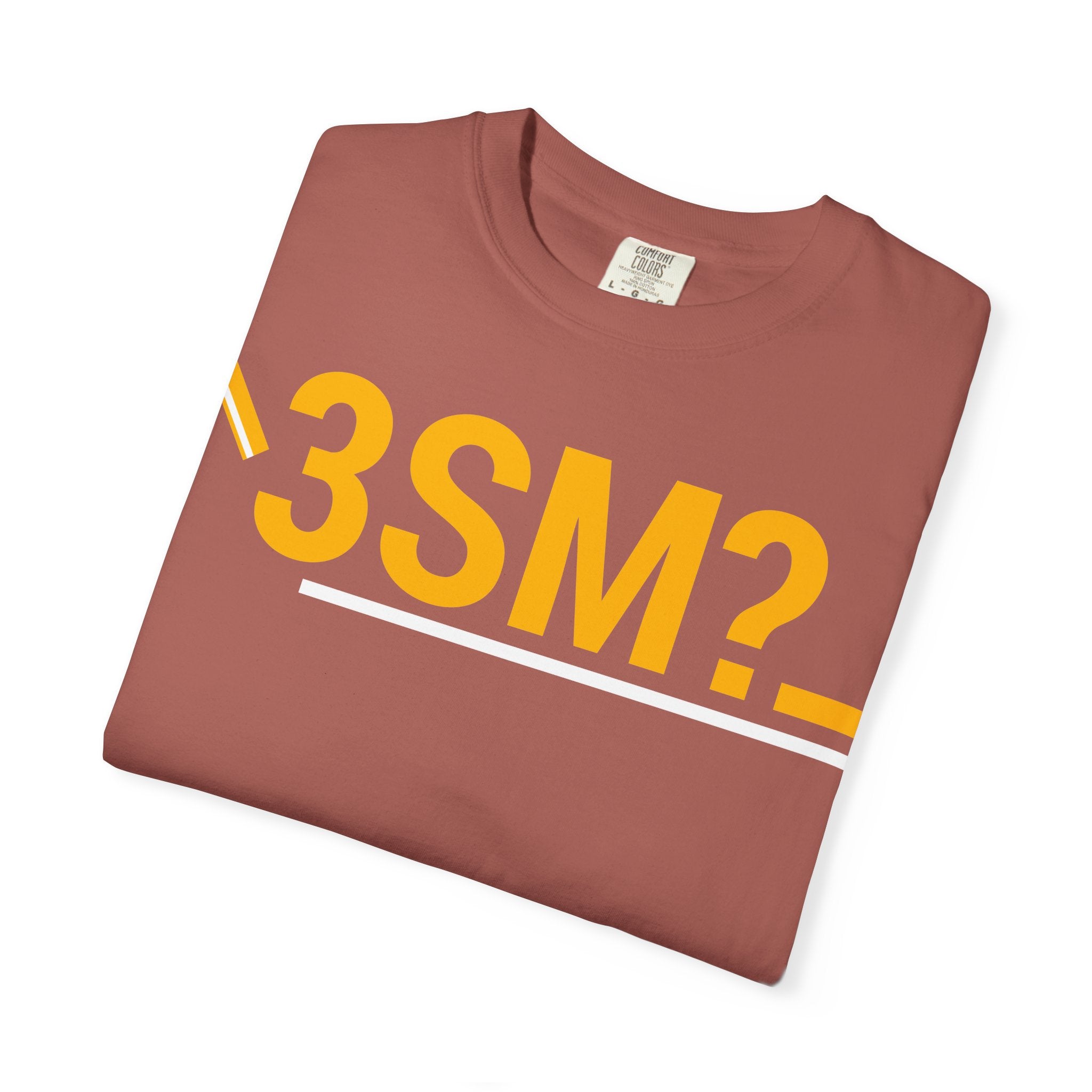 SHFT Designs 3SM? Unisex Garment-Dyed T-shirt